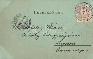 1899 Karánsebes, Philipphof, Verlag von M. Hecskó (EK)