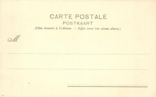 Brussels, Bruxelles;  Palais de la Nation, Maison du Roi, Place Royale; floral litho