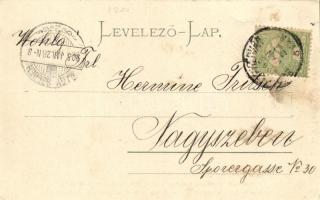 Gyulafehérvár, Karlsburg, Alba Iulia; Római katolikus főgimnázium a várban, Petri F. W. kiadása / gr...