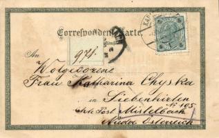 Karlovy Vary, Karlsbad; Stephanie-Wärte, Mühlbrunn, Hirschen-Spring; Ottmar Zieher floral litho (EK)