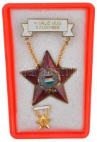 ~1980. "Kiváló Ifjú Szakember" zománcozott fém jelvény miniatűrrel T:2