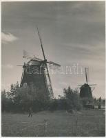 1930 Kerny István (1879-1963): Szentesi szélmalmok, pecséttel jelzett, 22x17 cm