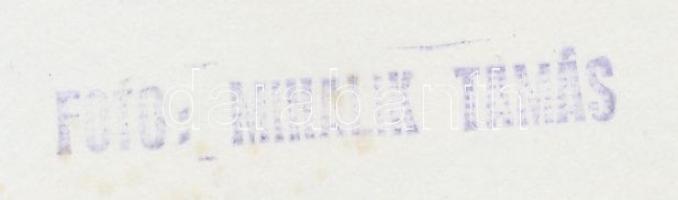 cca 1970 Mihalik Tamás: Budapest, Belvárosi plébániatemplom, feliratozva, 23x18 cm