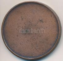 ~1980. "Budapest Orvostudományi Egyetemi Sportclub" bronzozott fém díjérem (40mm) T:2