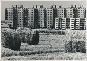 cca 1970 Zöldmezős beruházás, 20x29 cm