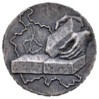 Csúcs Ferenc (1905-1999) 1970. "Pest megyéért - 1970-ben alapította a megye tanácsa" fém emlékérem (49mm) T:2