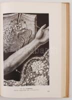 Fritz Kahn prof. dr.: Az emberi test csodái. Budapest, 1943, Dante. Kiadói karton kötésben