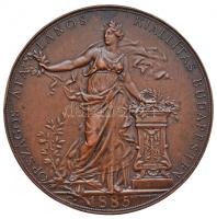 Schwartz István (1851-1924) 1885. "Országos Átalános Kiállítás Budapesten / Az Érdem Jeléül" névre szóló Br emlékérem tokban (65mm) T:2 ph.