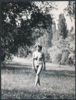 cca 1970 Csak természetesen, 4 db finoman erotikus fénykép, 24x18 cm  / cca 1970 4 erotic photos, 24x18 cm