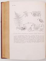 Jávorka Sándor: A viruló természet. I-II. kötet. A növények világa. A növény a gyakorlatban. 48 képt...