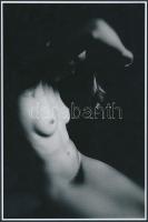 cca 1980 Ujhelyi István: Akt o. 44., feliratozott fotóművészeti alkotás, 23x16 cm