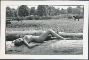 cca 1970 Laszló Tóth aktfotója, pecséttel jelzett fotóművészeti alkotás, 16x23 cm / cca 1970 Erotic photo, 16x23 cm