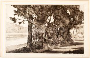 Biai-Föglein István (1905-1974): Fák a parton, rézkarc, papír, paszpartuban, üvegezett fa keretben, 19,5×29 cm