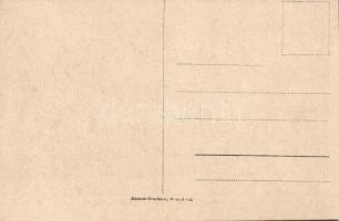 Ahol Károly király született Persenbeug várában / Charles IV birtplace