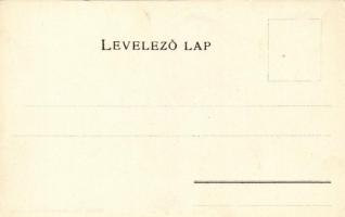 Szolnok-Doboka vármegye térképe; kiadja Károlyi Gy. / Map of Szolnok-Doboka county