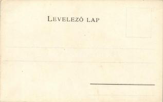 Szatmár vármegye térképe; kiadja Károlyi Gy. / Map of Szatmár county