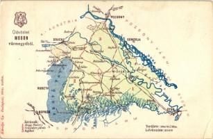 Moson vármegye térképe; kiadja Károlyi Gy. / Map of Moson county (EK)