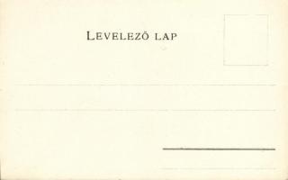 Hont vármegye térképe; kiadja Károlyi Gy. / Map of Hont county