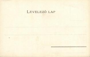 Gömör vármegye térképe; kiadja Károlyi Gy. / Map of Gömör county