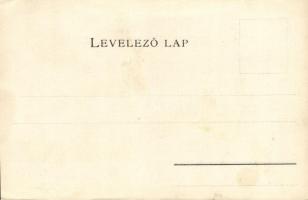 Bihar vármegye térképe; kiadja Károlyi Gy. / Map of Bihar county