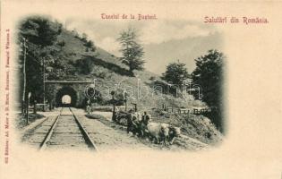Busteni, tunelul / railway tunnel (Rb)