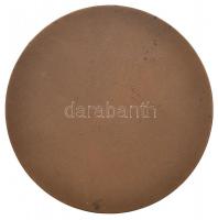 1972-1978. "Székely Mihály Zenei Napok Jászberény" (2xklf) ezüstözött Br és Br plakett (60...