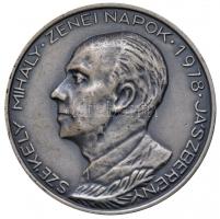 1972-1978. "Székely Mihály Zenei Napok Jászberény" (2xklf) ezüstözött Br és Br plakett (60...