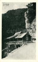Sinaia, Sf. Anna rest house, automobile (EK)