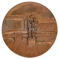 DN "Salgótarján várostanácsától" Br plakett dísztokban. Szign.: KS (96mm) T:2