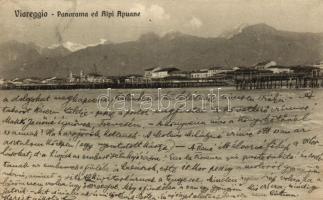 Viareggio, Alpe Apuane
