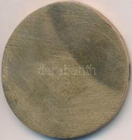 DN "Madonna" Br emlékérem. Szign.: Kaunek? (39-41mm) T:2