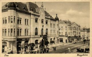 Léva, Megyeháza / County hall