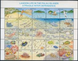 Lagoon wildlife set in relation, Lagúnai élővilág sor összefüggésben
