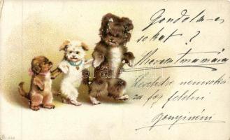 10 db RÉGI motívumlap, sok lithoval és pár dombornyomott; kutya / 10 old motive cards with many lithos and some embossed; dog