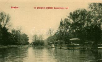 Erdőd, A gőzkomp komprészre vár / steam ferry