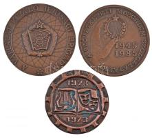 1973. "Traktorgyár Művelődési Ház 50  év / 1923-1973" Br emlékérem (62mm) + 1985. "A Szövetkezeti Mozgalom Szolgálatáért 1945-1985 / Felszabadulásunk 40. évfordulójára" Br emlékérem (70mm) + DN "A Vállalat Kiváló Ifjúsági Brigádja" Br emlékplakett (70mm) T:2,2-