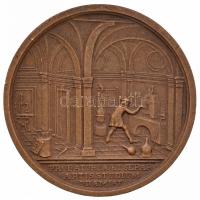 Szántó Gergely (1886-1962) 1927. "Királyi Magyar Egyetemi Nyomda" Br emlékérem (40mm) + 1969. "Vasipari Kutató Intézet Budapest - 20 év - 1949-1969" Br emlékérem (45mm) + 1992. "Petőfi Színház Sopron / A Soproni Magyar Nyelvű Színjátszás 200 éves" Br emlékérem (42mm) T:2,2-