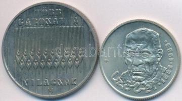 1983. 100Ft CuNi "FAO" + 100Ft alpakka "Czóbel Béla", mindkettő eredeti tokban t...