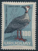 Bird, Madár