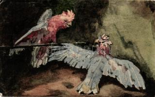 Parrots, hand painted postcard (EK)