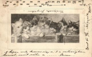 Macskák, Cats