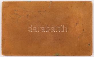 Fábri jelzéssel: A Magyar Athletikai Club által kiadott Hősök emlékversenye réz plakett, 8x5 cm