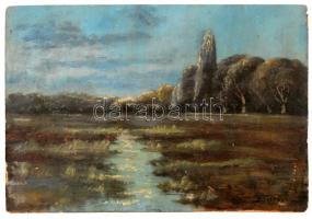 Bosznay jelzéssel: Tájkép, olaj, karton, 26×38,5 cm