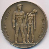 Loósz József (1908-) 1947. "SAS / Siess-Adj-Segíts / Hadifoglyokért, kórházakért, tüdőbetegekért" Br emlékérem (40mm) T:2,2-