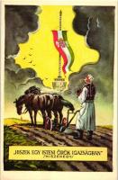 Hiszekegy, Hungarian irredenta, s: Lamos