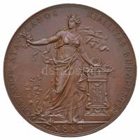 Schwartz István (1851-1924) 1885. "Országos Átalános Kiállítás Budapesten - 1885 / Az Érdem Jeléül" névre szóló Br emlékérem (65mm) T:2,2- több ph.