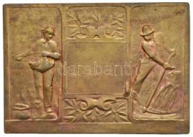 Fritz Mihály (1947-) 1983. "Szegedi Szabadtéri Játékok" Br emlékérem eredeti tokban (42,5m...