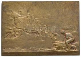 Fritz Mihály (1947-) 1983. "Szegedi Szabadtéri Játékok" Br emlékérem eredeti tokban (42,5m...