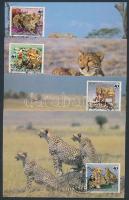 WWF Cheetah set 4 CM WWF: Gepárd sor 4 db CM-en