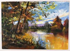 Papp Tünde (1978-): Mártély. Olaj, farost, jelzett, 39×55 cm